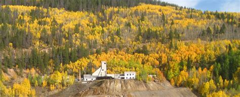 Colorado Aspen Leaves, Fall Foliage Photos and Videos