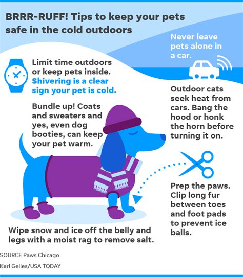Pet Safety How To Keep Dogs Cats Safe In Extreme Winter Weather
