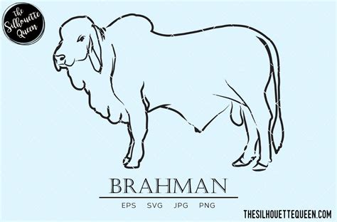 Brahman Svg Cow Svg Cattle Svg Hybrid Cow Svg Mammal Svg Etsy Hand