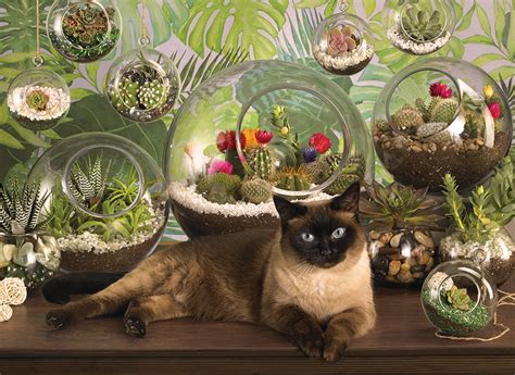 Wide selection of 1000 piece jigsaw puzzles by artists including thomas kinkade, jane wooster scott, jan van haasteren. COBBLE HILL PUZZLE - Terrarium Cat 1000 Piece - Puzzle ...