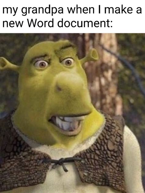 Shrek Face Swap Meme Bhe