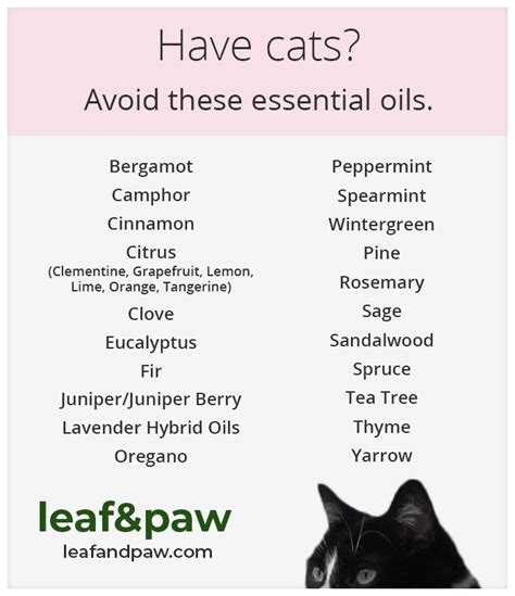 Many people buy essential oils and diffusers for the pleasant scent or it suggests cat owners be cautious when using essential oils and diffusers in their homes in order to protect their pet from a toxic risk. 218 best Pets And Essential Oils images on Pinterest ...