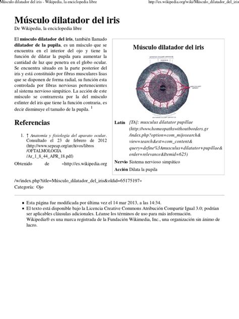 Músculo Dilatador Del Iris Wikipedia La Enciclopedia Libre Pdf