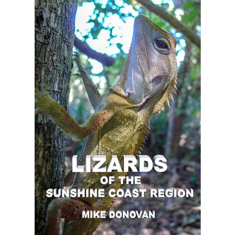 Lizards Of The Sunshine Coast Region