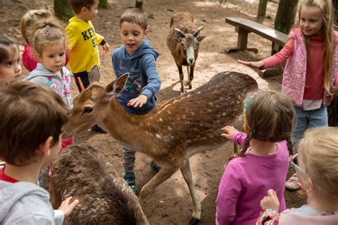 10 Best Petting Zoos Wildlife Parks And Interactive Farms In And