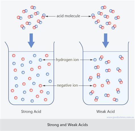 Strong Weak Acid Base Chart A Visual Reference Of Charts Chart Master