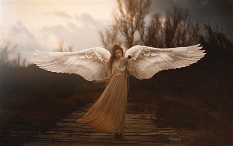 Girl With Wings Angel Wallpaper Hd Girls 4k Wallpapers Images Photos