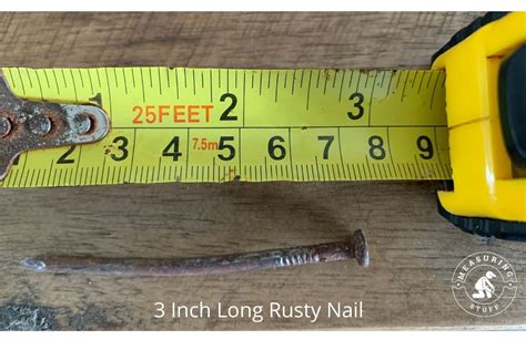 7 Common Things That Are 3 Inches Long Check Out 5
