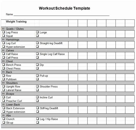 Personal Trainer Workout Plan Template Inspirational Daily Workout