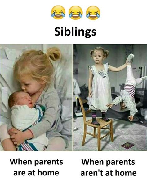 Siblings Funny Baby Memes Siblings Funny Quotes Siblings Funny