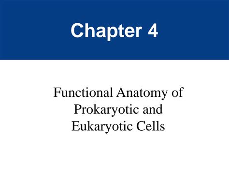 solution bio 210 lecture 3 notes functional anatomy of prokaryotic and eukaryotic cells
