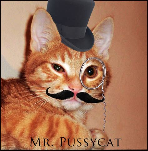 Mr Pussycat By Elbichopt On Deviantart
