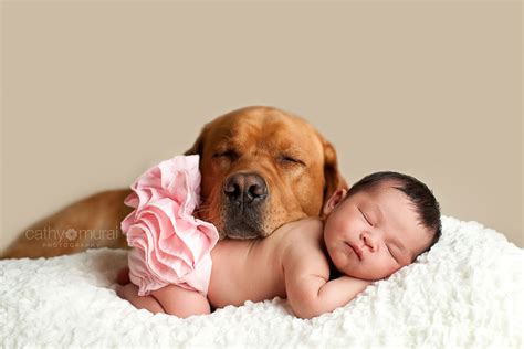 22 Big Dogs Caring For Little Kids Dogs Our Best Friends