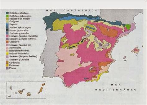 Lazos En El Tiempo Actividades Sobre Las Regiones Biogeográficas En España