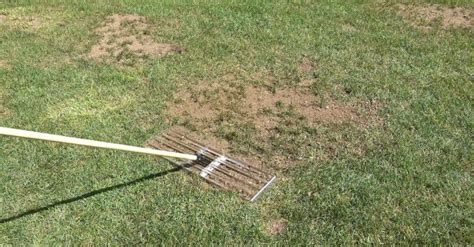 How To Make A Lawn Leveling Rake Croley Turnot