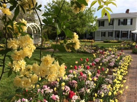 Lewis Ginter Botanical Gardens Is Virginias Top Outdoor Spot