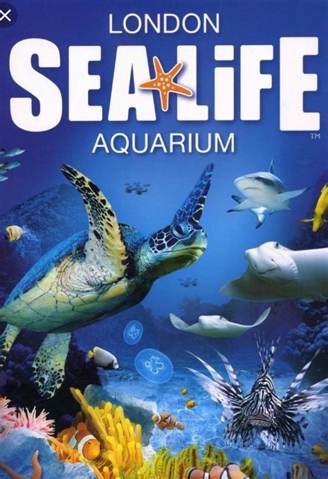 Two Tickets For London Aquariumsealife Centre 3119 Ebayto2blko0q In 2020 London