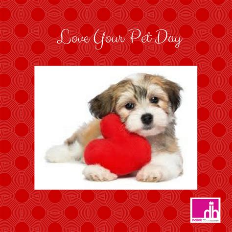 Harley says he is celebrating early for love your pet day 2020!!!! Hallak Cleaners Presidents' Day 2017...National Love Your ...