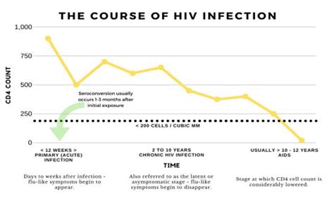 What Are The Stages Of Hiv Infection When Does Hiv Become Aids