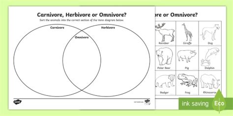 Free Sorting Carnivores Herbivores And Omnivores Ks1 Worksheet