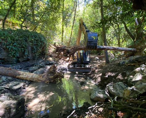 Spawn Wins Two State Grants To Help Marin Homeowners Restore Streamside