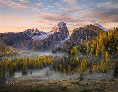 Forest Landscape Mountains Nature Mist Trees Clouds Snowy Peak