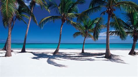 Fondos De Pantalla De Playas Del Caribe Fondosmil