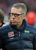 Rekord-Vertrag! FC Köln Trainer Peter Stöger (49) verlängert bis 2020 ...