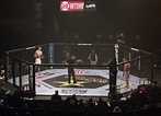 What Is Cage Fighting? | Speak MMA