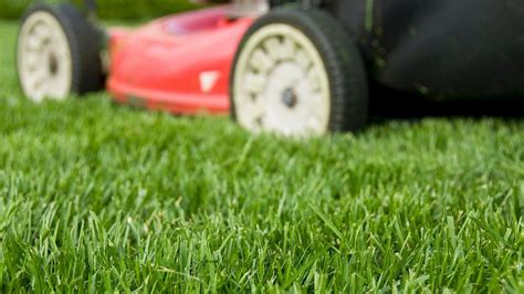 Tips And Tricks For Getting The Greenest Lawn In The Neighborhood