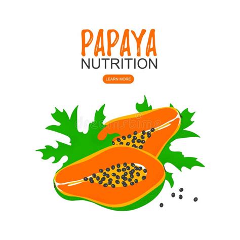 Papaya Nutrition Facts And Health Benefits Infographic Stock Vector