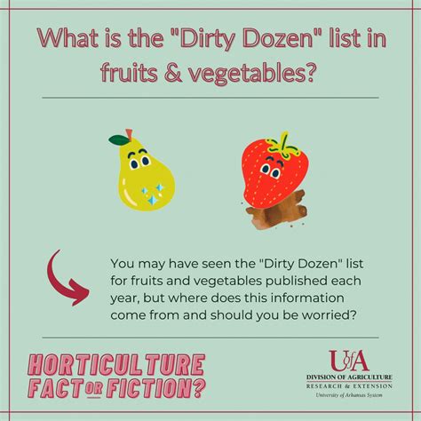 What Is The ‘dirty Dozen List In Fruits And Vegetables