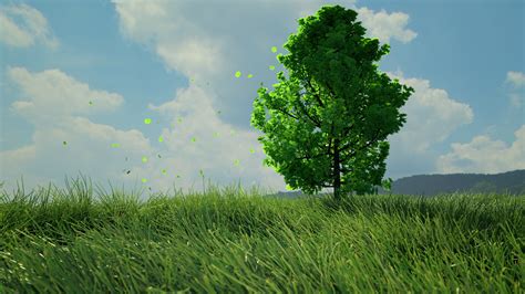 Tree And Grass Scene 4k By Nicolibonsaimc On Deviantart