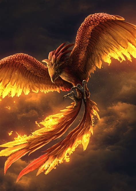 Phoenix Bird Real Unlike Other Legendary Creatures That We Can