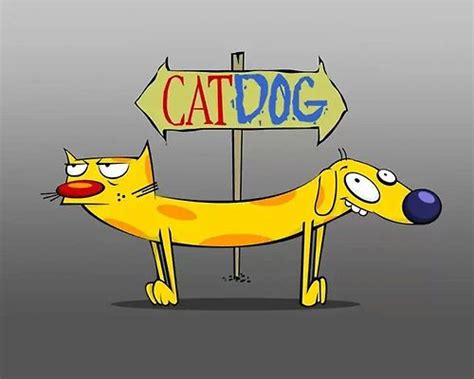 Nickelodeons Catdog Catdog Photo 36878782 Fanpop