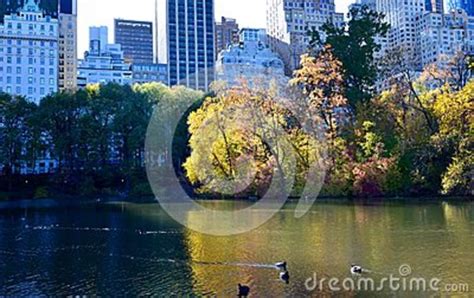 Central Park In The Autumn Nyc Usa Stock Photo Image Of Life
