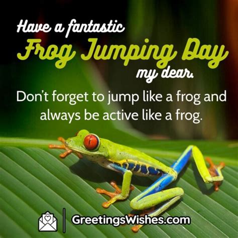 Frog Jumping Day Wishes Messages 13 May Greetings Wishes