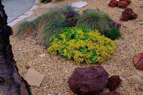 What Is Xeriscaping Lawn Care Blog Lawn Love