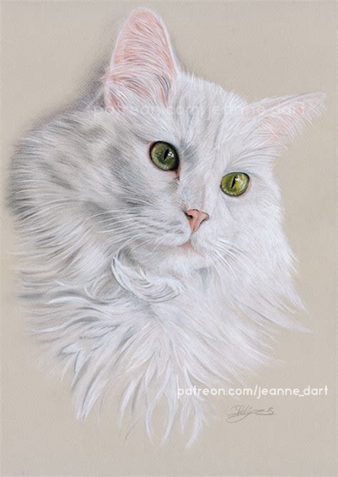 White Cat Portrait Pastel On Behance