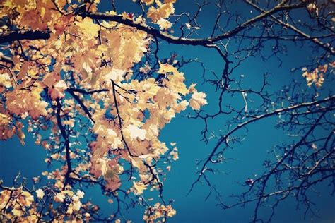 Fall Season Backgrounds ·① Wallpapertag