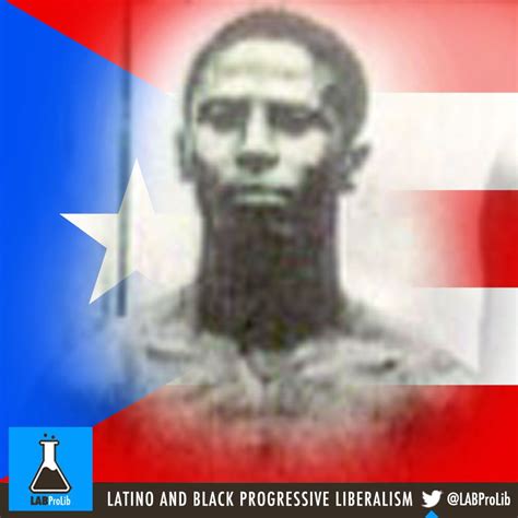 African History In Puerto Rico African History African American