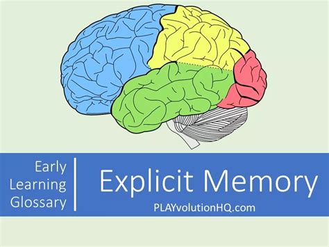 Explicit Memory Playvolution Hq