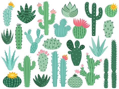 Premium Vector Mexican Cactus And Aloe Desert Spiny Plant Mexico