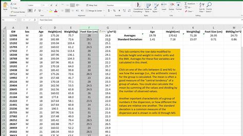 Copying And Pasting In Excel YouTube
