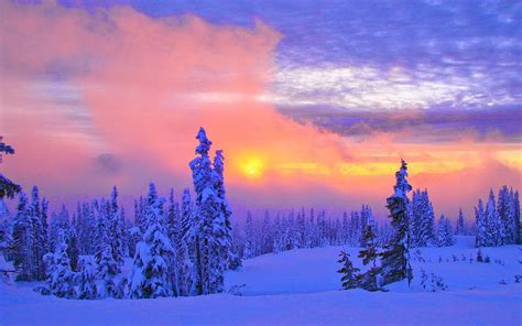 48 Beautiful Winter Scenery Wallpaper Wallpapersafari