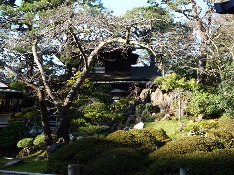 Tea , tea garden , tea house Japanese Tea Garden: San Francisco | Tea garden, Garden ...