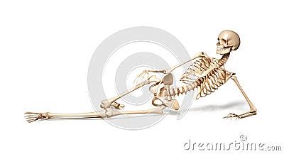 Skeleton Of Human Female Lying On Floor Stock Photo Image