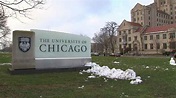 Estudiar en la Universidad de Chicago 📚 Todo lo que necesitas 2021