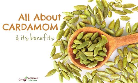 Cardamom Is One Of The Most Valued Spices In The World With An Intense