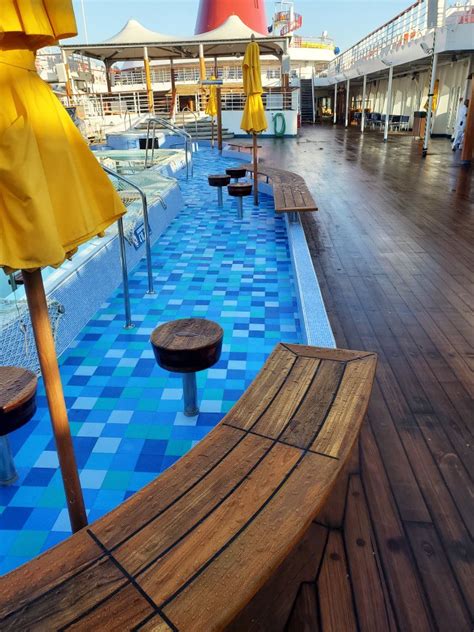 All Aboard Cruises Filled With Aquatic Fun — Life Floor